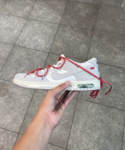 Nike dunk low off white grey