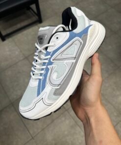 Dior b30 blue white