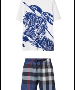 Ensemble burberry bleu